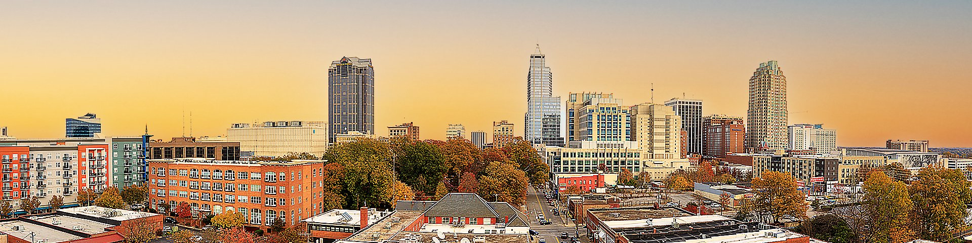 Raleigh NC Cityscape