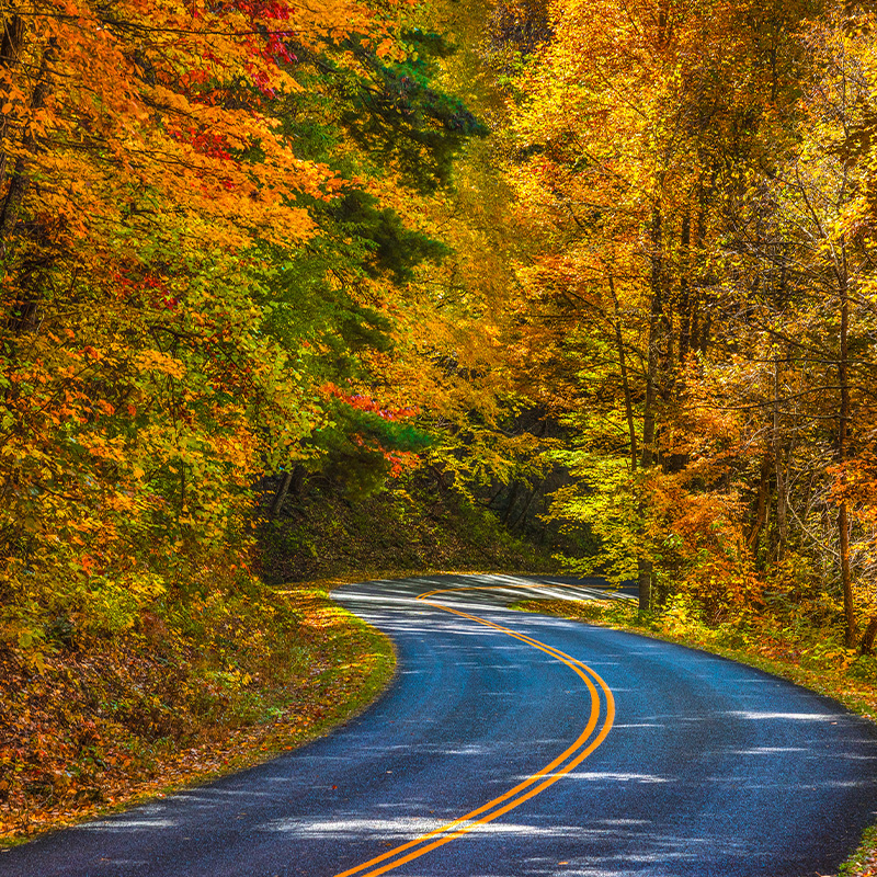 Blue Ridge Parkway Scenic View